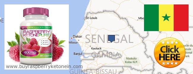 حيث لشراء Raspberry Ketone على الانترنت Senegal